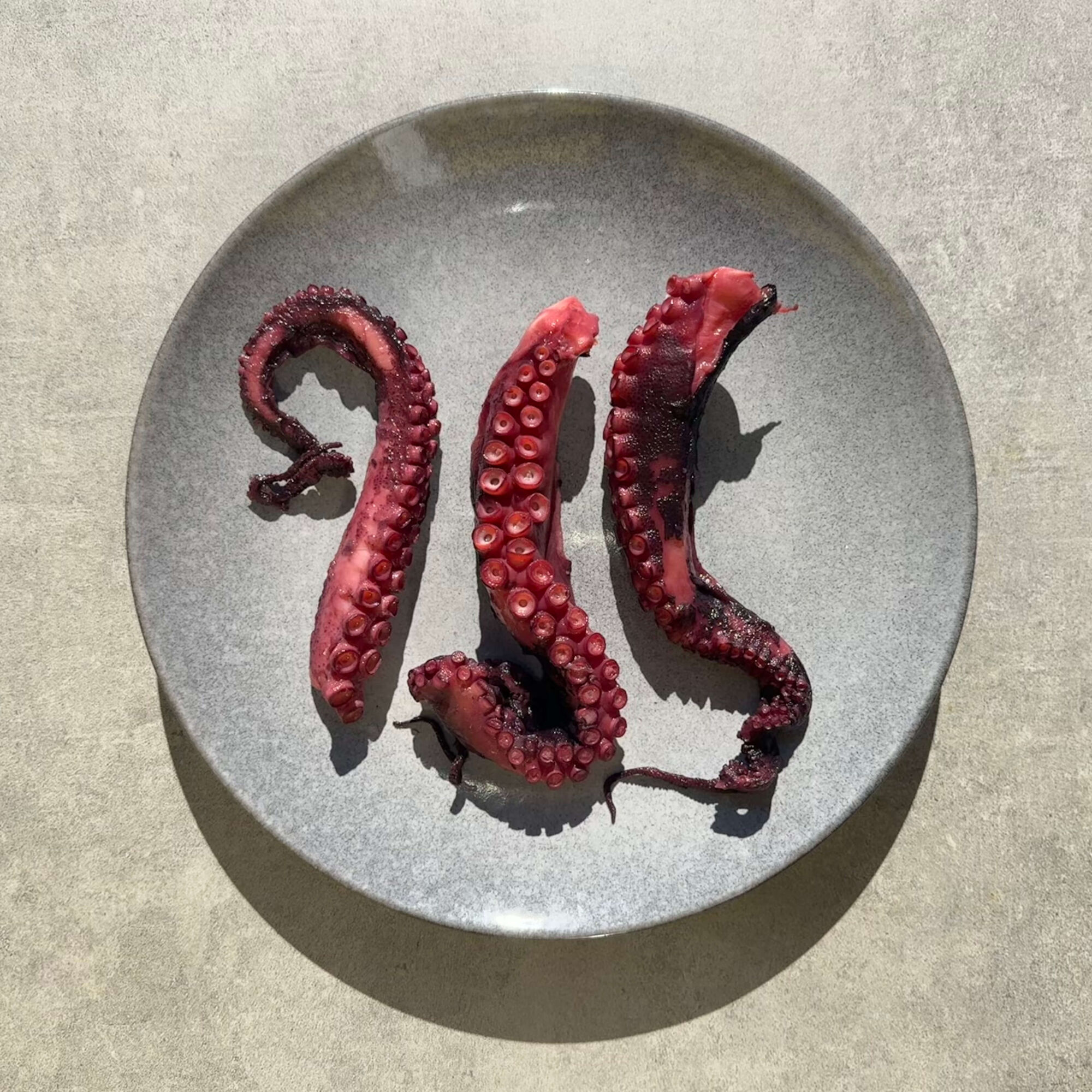 Fremantle Octopus Tentacles (Cooked) 200g